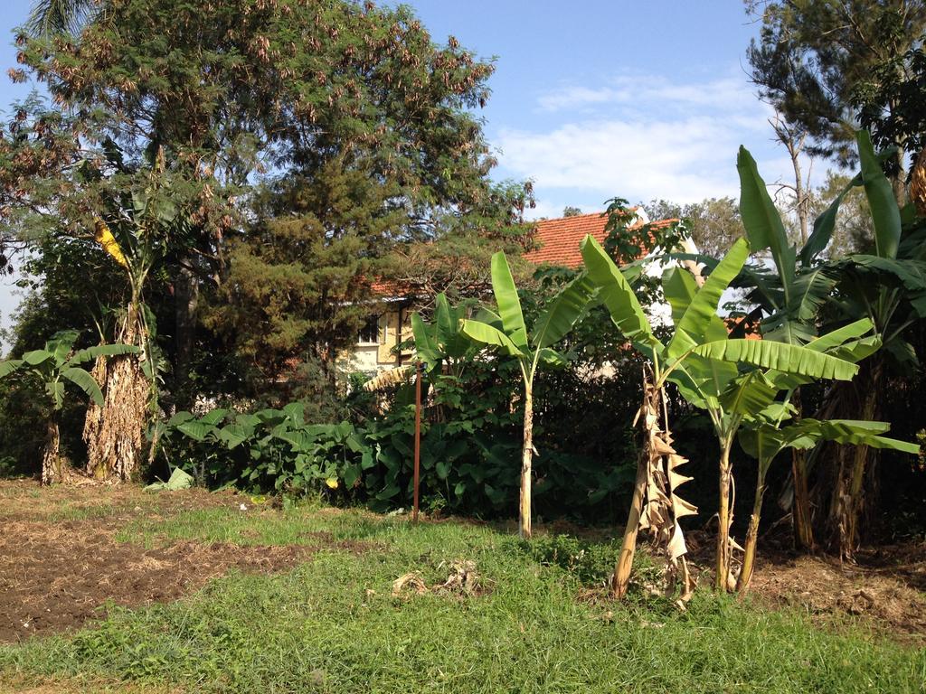 Отель Bikeventures House Uganda Джинджа Экстерьер фото